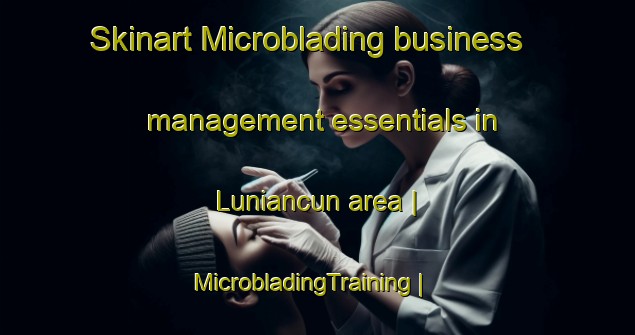 Skinart Microblading business management essentials in Luniancun area | MicrobladingTraining | MicrobladingClasses | SkinartTraining-China